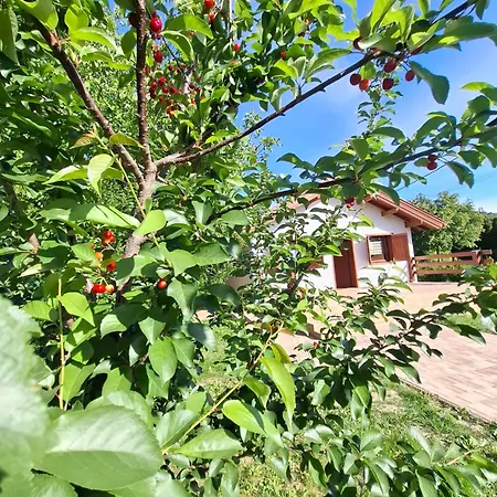 Case de vacanță Fakucko Vendeghaz *