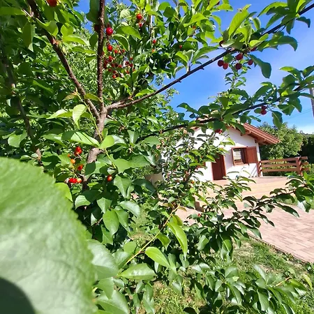 Fakucko Vendeghaz Case de vacanță *