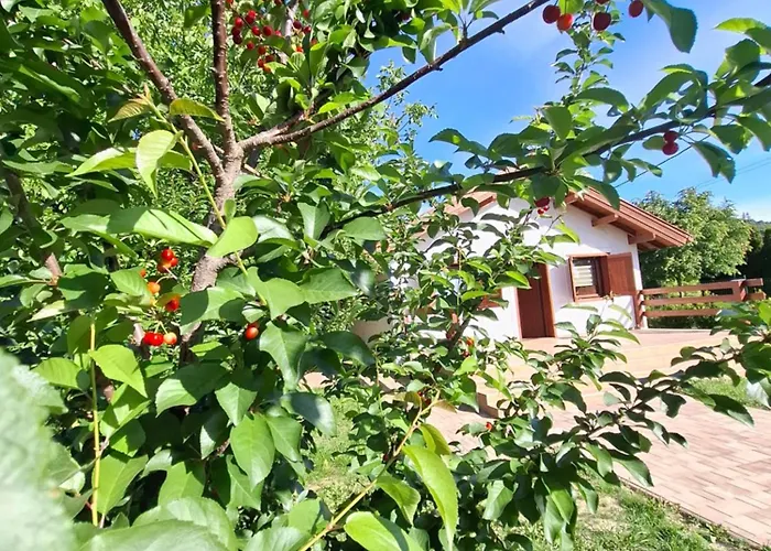 Case de vacanță Fakucko Vendeghaz *