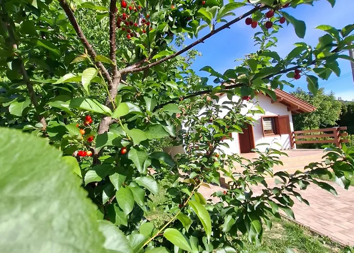 Fakucko Vendeghaz Case de vacanță *